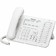 KX-NT543-NE